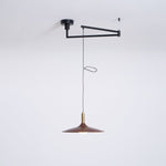 Crane Swing Arm Pendant Light – Modern LED Pendant Lamp with Brass Accents