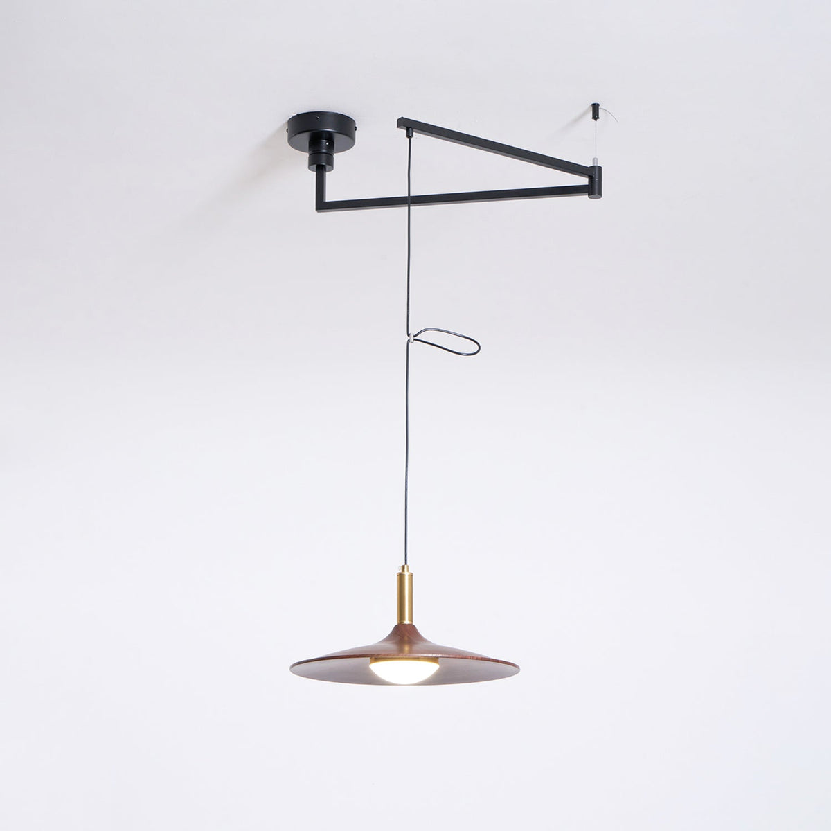 Crane Swing Arm Pendant Light – Modern LED Pendant Lamp with Brass Accents