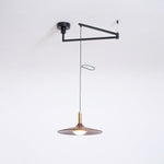 Crane Swing Arm Pendant Light – Modern LED Pendant Lamp with Brass Accents