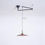 Crane Swing Arm Pendant Light – Modern LED Pendant Lamp with Brass Accents