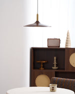 Crane Swing Arm Pendant Light – Modern LED Pendant Lamp with Brass Accents