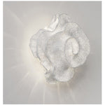 Nebula Bloom Sculptural Wall Sconce in Stainless Steel