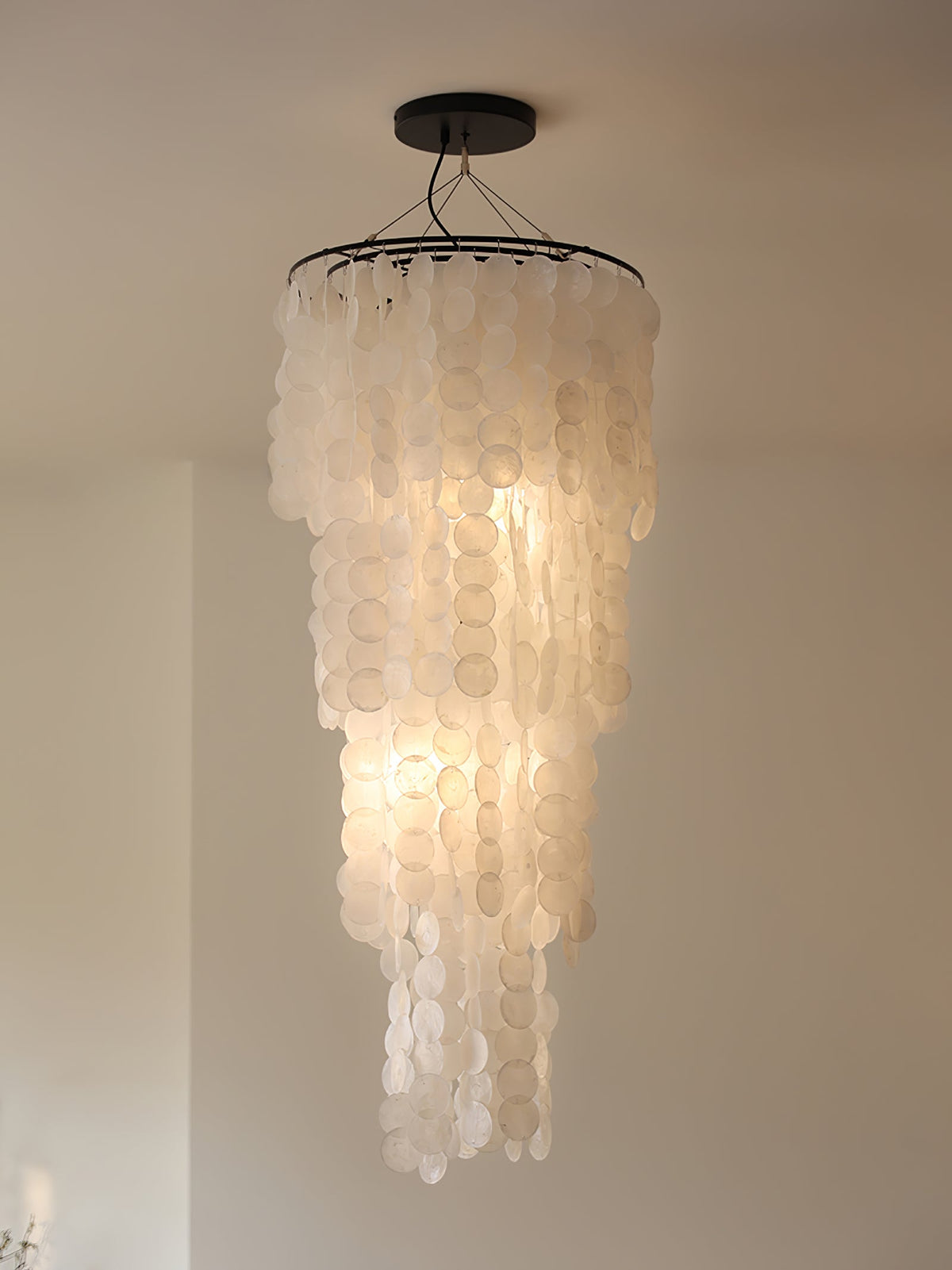 Nerida Shell Chandelier — Natural Shell & Gold Ring Pendant Light