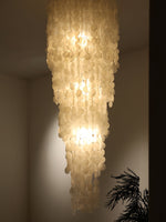 Nerida Shell Chandelier — Natural Shell & Gold Ring Pendant Light