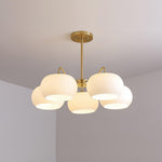 Nickel Persimmon Glass Chandelier – Modern 3 or 5-Light Pendant for Dining Room and Kitchen Island