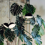 nod-suspension-pendant-light