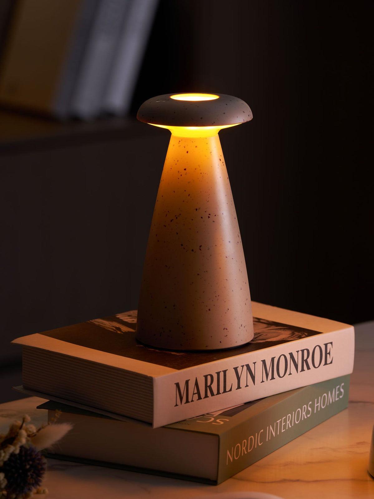Noko Rechargeable Mushroom Table Lamp in Ceramic Finish