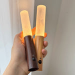 Nomad Portable Magnetic Wall Sconce with Rechargeable LED Light