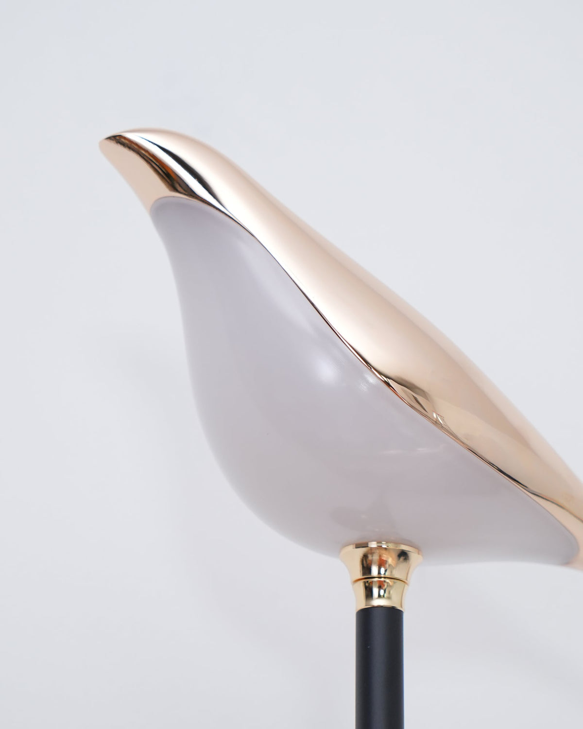 Nomi Plug-In Wall Sconce with Adjustable Bird Accent