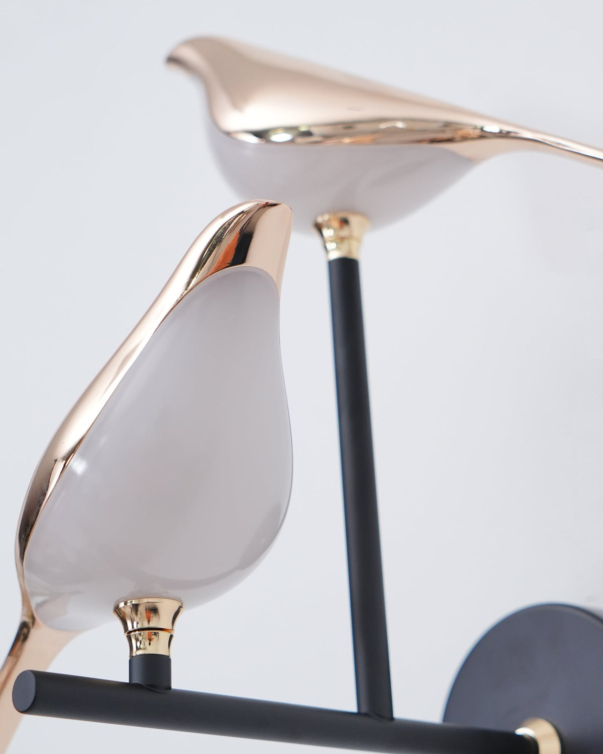 Nomi Plug-In Wall Sconce with Adjustable Bird Accent