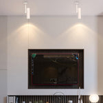 Norano Modern LED Ceiling Light in Black or White