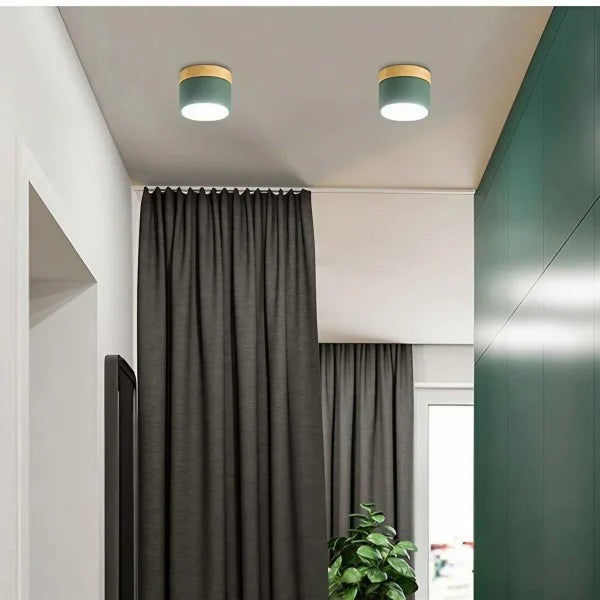 Nordic Simple Cylinder Led Ceiling Light