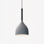 Baking Paint Iron Pendant Light