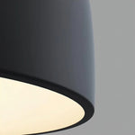 Baking Paint Iron Pendant Light
