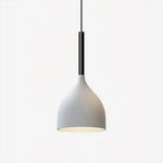 Baking Paint Iron Pendant Light
