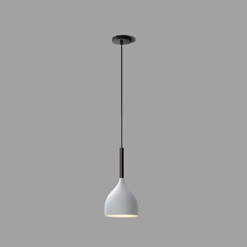 Baking Paint Iron Pendant Light