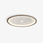 Nordic Creative Ceiling Lamp