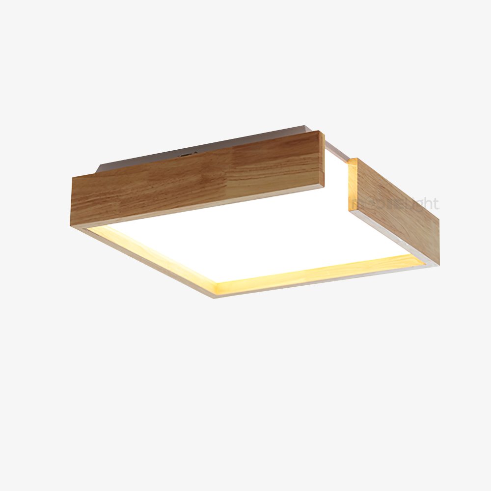 Notched Ceiling Light