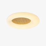 Nubi Led Ceiling Light