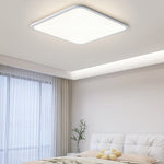High End Full Spectrum Ceiling Lamp For Living Room