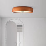 Nordic Minimalist Round Ceiling Lamp