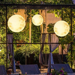 Lunar Garden Outdoor Pendant Light
