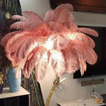 Ins Style Feather Decorated Floor Lamp