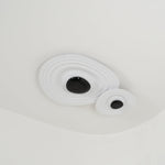 Odeon Modern LED Ceiling Light in Black and White for Living Spaces
