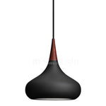 Orient Pendant light