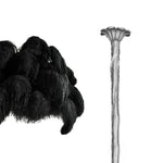 ostrich-feather-chandelier