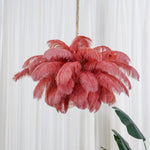 ostrich-feather-chandelier