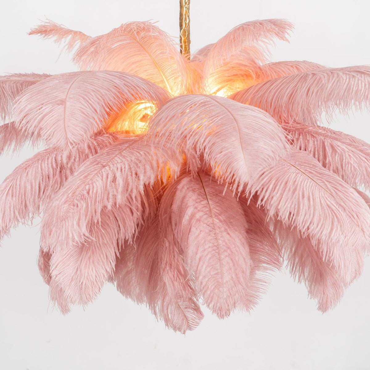 Ostrich Feather Pendant Lamp