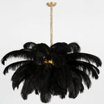 Ostrich Feather Pendant Lamp