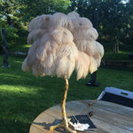 ostrich-feather-table-lamp