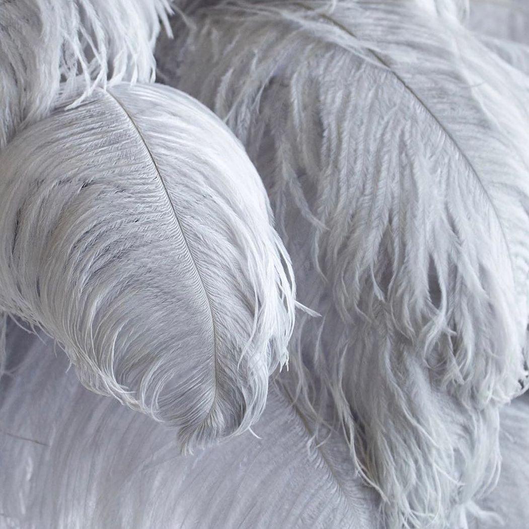 ostrich-feather-table-lamp