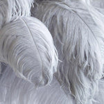 ostrich-feather-table-lamp