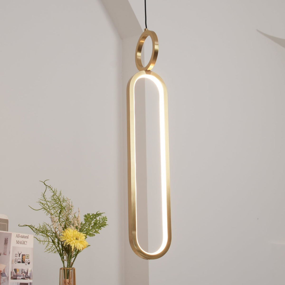 Led Oval Linear Pendant Light