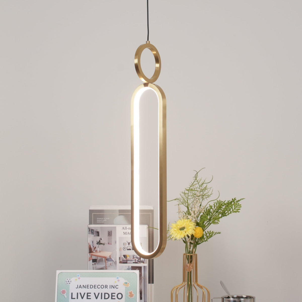 Led Oval Linear Pendant Light