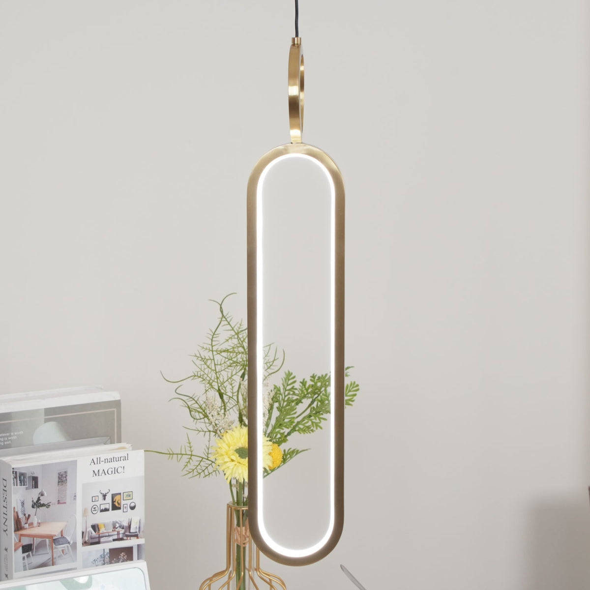 Led Oval Linear Pendant Light