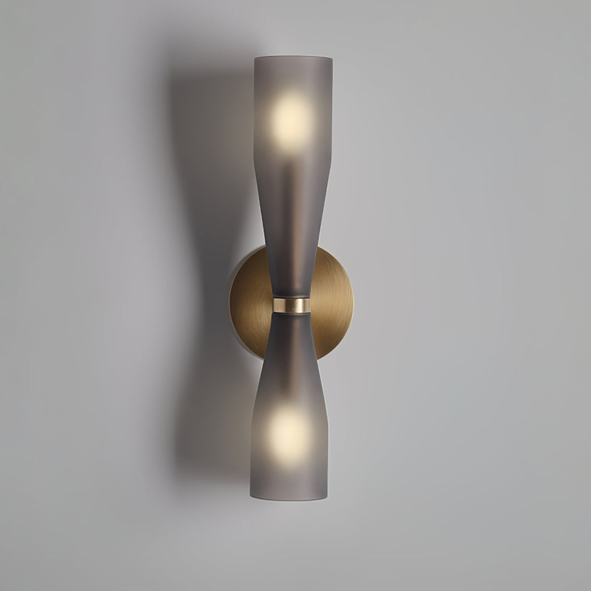 Ovalo Duo Modern Smoked Glass Wall Sconce with Brass Backplate