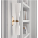 Ovalo Duo Modern Smoked Glass Wall Sconce with Brass Backplate