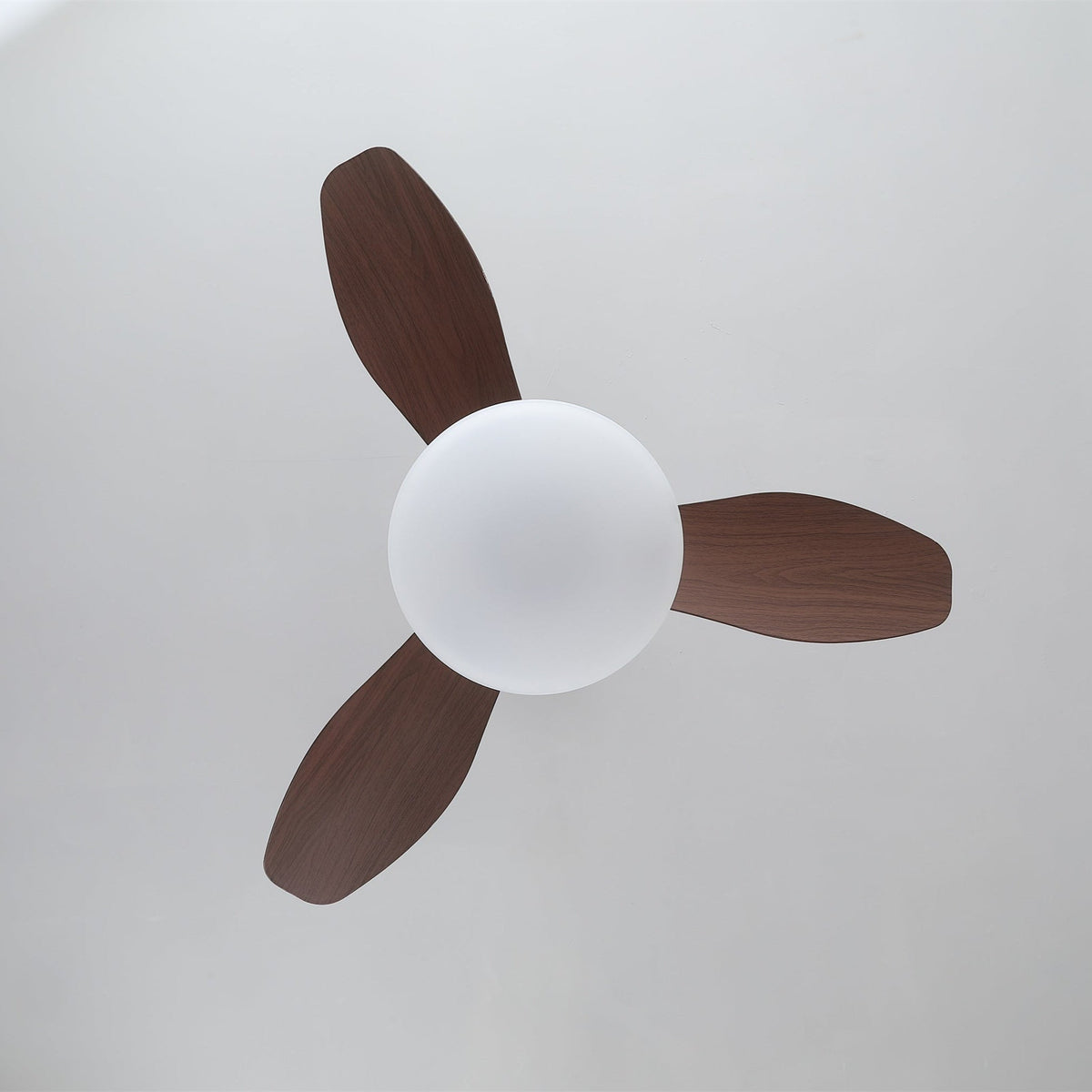 Zephira Ceiling Fan Light with LED – Modern Designer Fan for Living Spaces