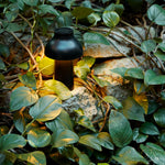 pc-portable-table-lamp
