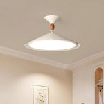palefire-ceiling-light