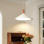 palefire-pendant-light