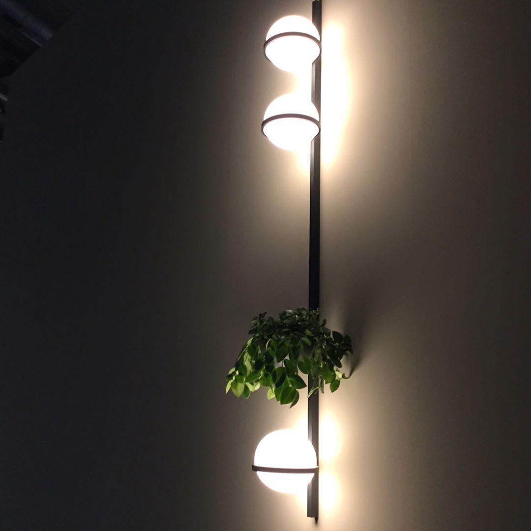 palma-wall-lamp