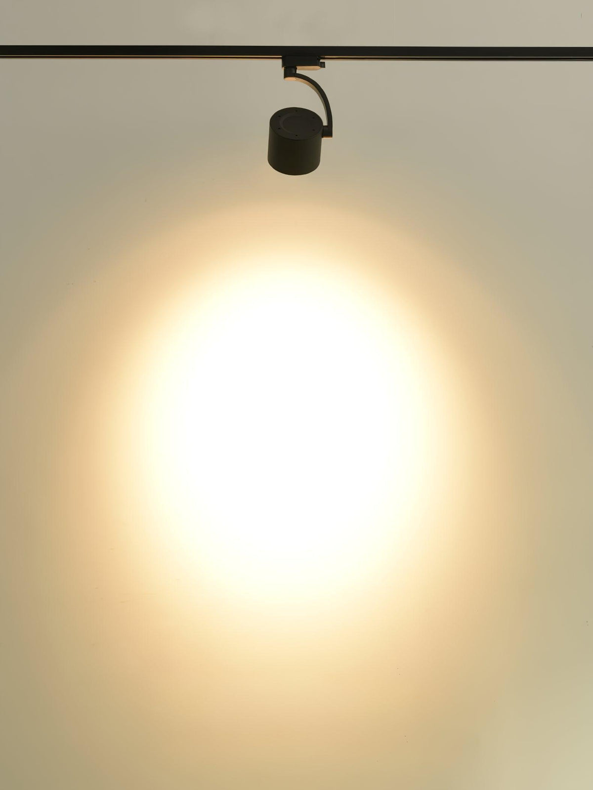 Paloma Modern LED Linear Ceiling Light in Black or White