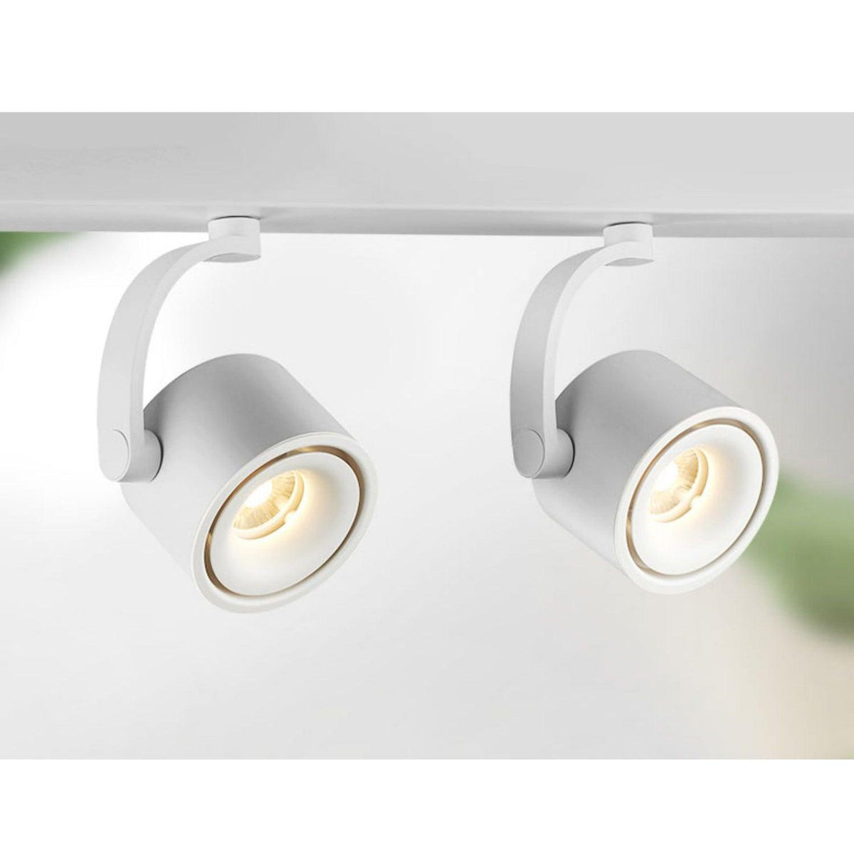 Paloma Modern LED Linear Ceiling Light in Black or White