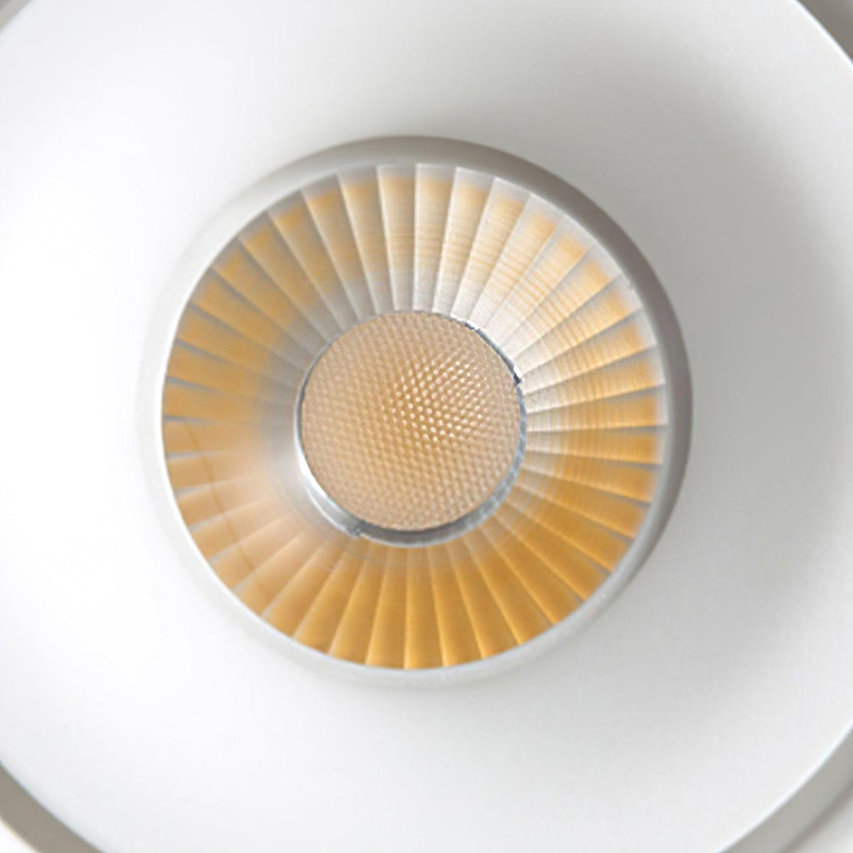 Paloma Modern LED Linear Ceiling Light in Black or White