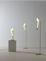 Perch Light Table Lamp